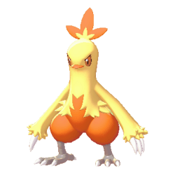 Combusken