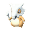 Cubone