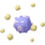 Koffing