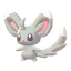 Minccino