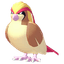 Pidgeot