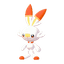 Scorbunny
