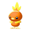 Torchic