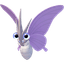 Venomoth