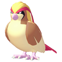 Pidgeot