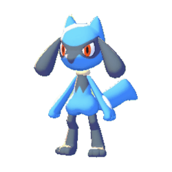 Riolu