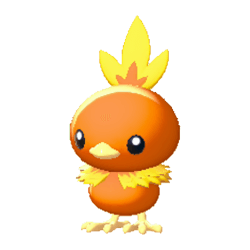 Torchic